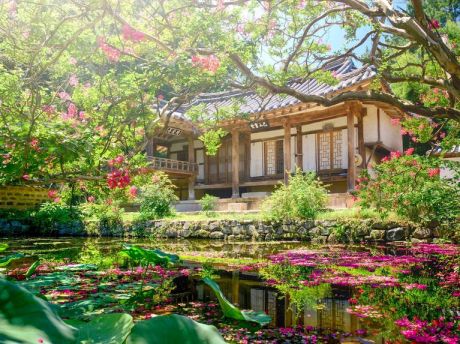 Южная Корея на майские праздники и летом: два тура с русскоговорящим гидом — цветущий Сеул и неповторимый Пусан