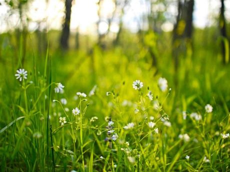 Как участие в «Знай Наше. Лето 2026» помогает находить туристов и увеличивать продажи