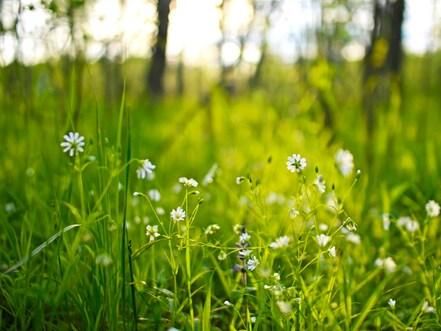 Россия дороже Турции? Сегодня на Profi.Travel эксперты обсудят предстоящее лето