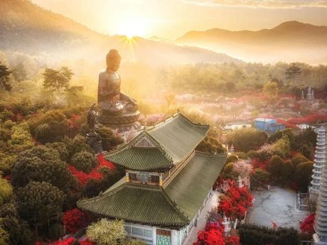 Южная Корея: приехать в мае — и захотеть вернуться летом