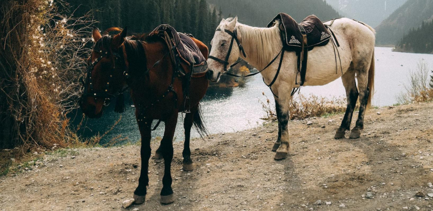 Чего не хватает внутреннему travel-рынку и самые популярные локации Казахстана