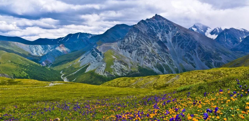 Республика Алтай: места силы, дикая природа, целебные источники и объекты ЮНЕСКО