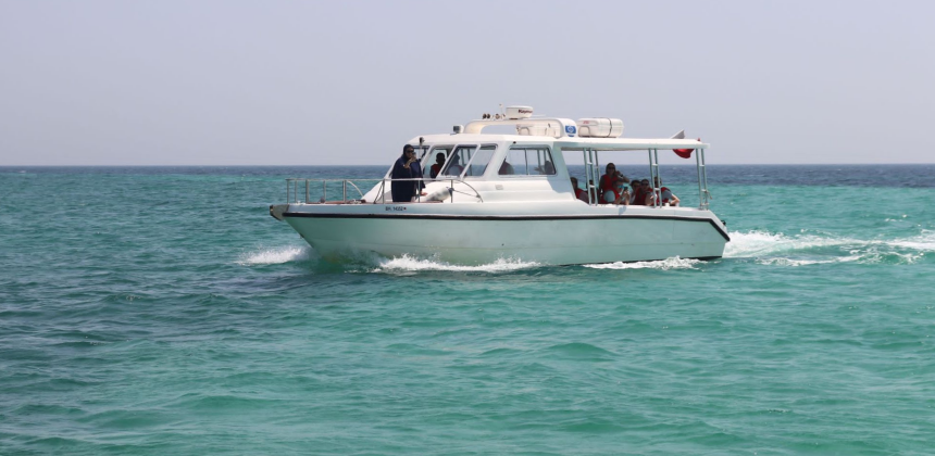 Исчезающий остров и другие приключения агентов Loyalty в Бахрейне