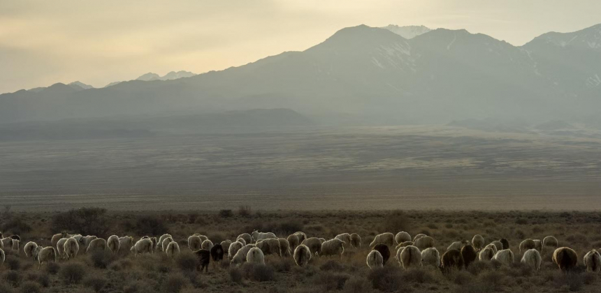 Предприниматели Акмолинской области популяризируют туристические маршруты