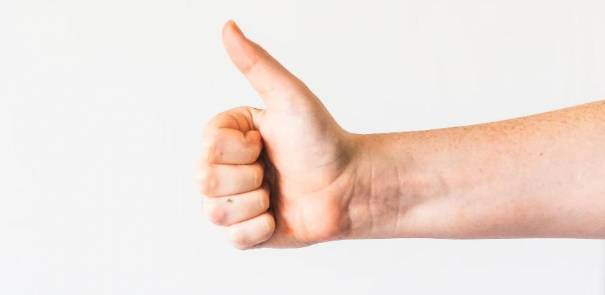 Постановление о переносе «Электронной путевки» опубликуют в течение двух недель