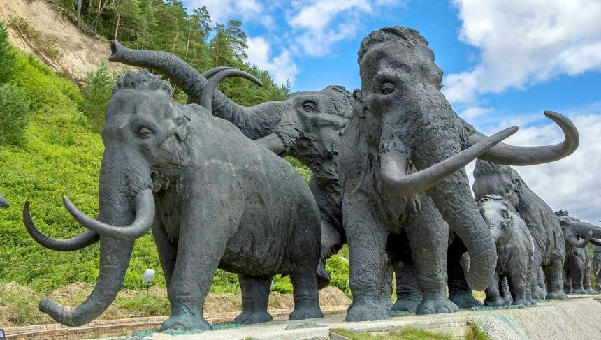 Бронзовые мамонты, олени и чумы: зимнее путешествие на Север