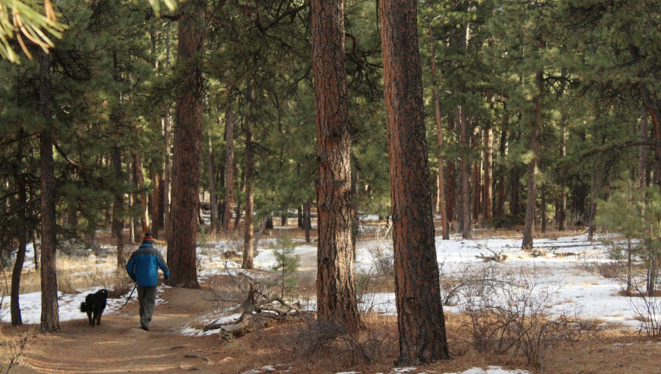 Сколько стоит поохотиться в Беларуси?
