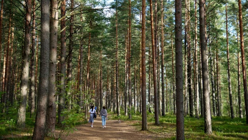 Минэк: внутренний турпоток за полгода вырос почти на 7%