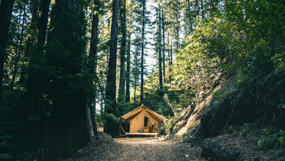 Нет интернета — нет туристов: заповедники и нацпарки лишатся части средств размещения