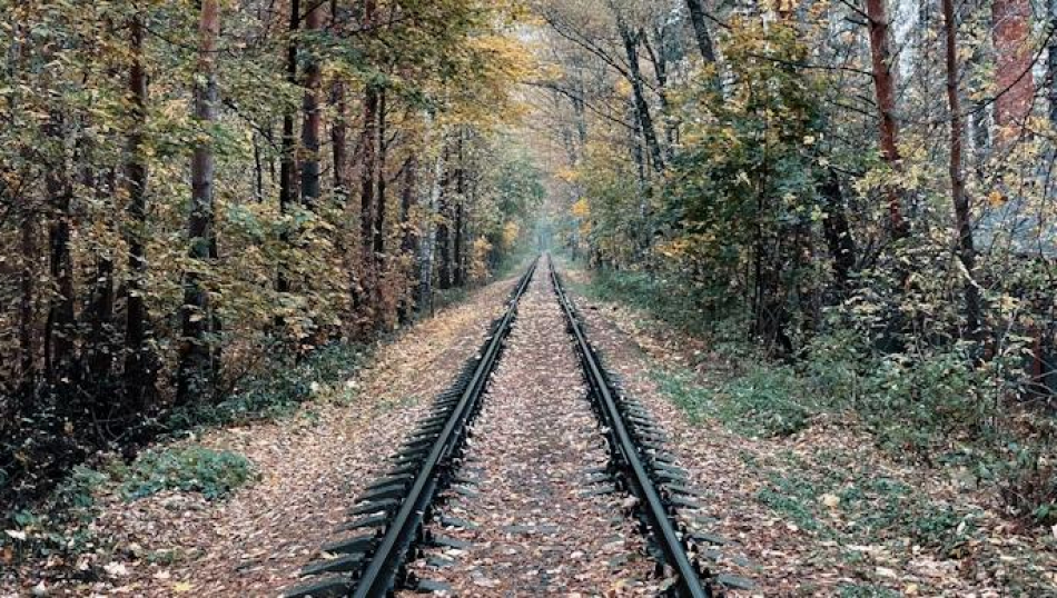 Туризм вошел в тройку лидеров экономики, но отдыхать в России все дороже