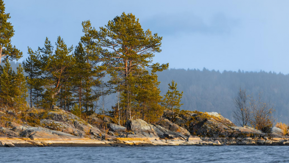 Туристов бросили на острове в Карелии: чем это грозит гиду и турфирме
