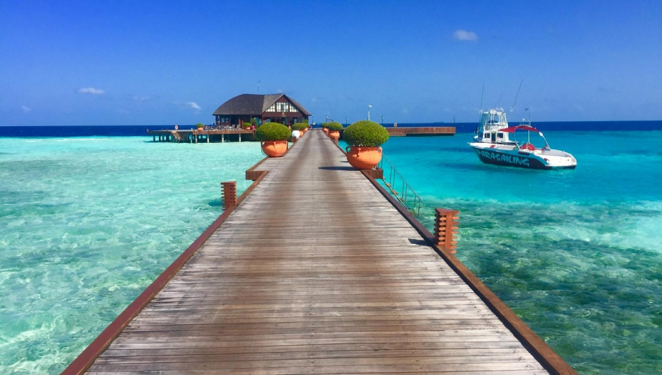 Экзотика побеждает: Мальдивы — в топе, Сейшелы прибавляют, а Маврикий показывает самый заметный рост