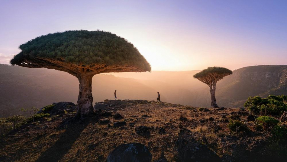 Застрявшим в Йемене российским туристам предложили рейс в Джидду