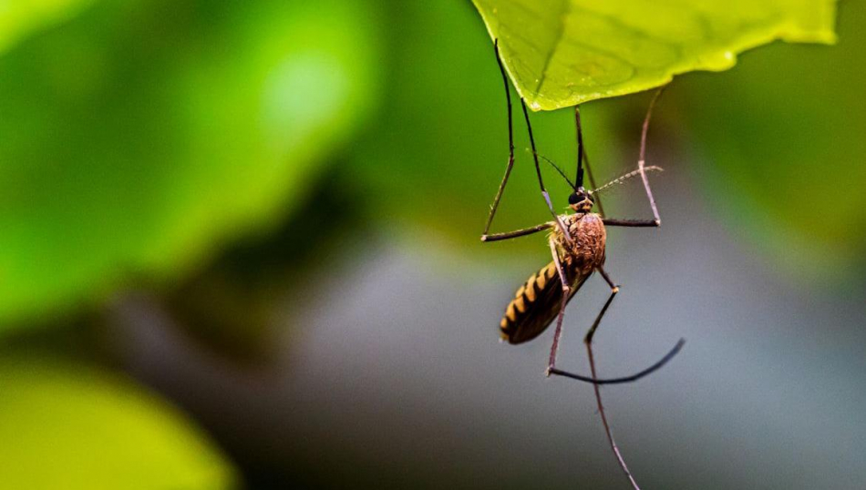Роспотребнадзор рекомендовал туристам на Кубе ходить в закрытой одежде