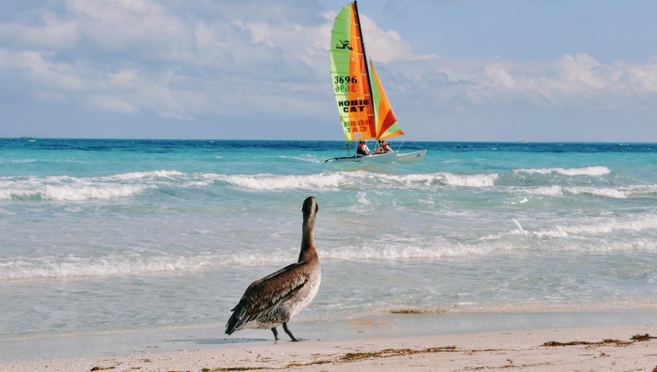 Туристы ставят на паузу бронирования Кубы из-за заявления Дональда Трампа