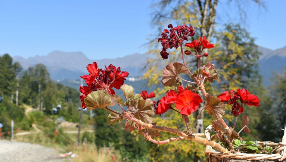 Загрузка Сочи на майские праздники вдвое хуже, чем Анапы