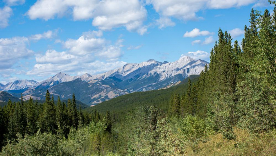 Продажи туров на Алтай на майские праздники просели: в чем причины?