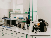 Названы возможные причины гибели туристов во время отдыха в отеле в Стамбуле