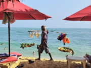 Туроператор сообщил, что происходит на Шри-Ланке после циклона