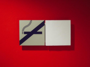 Туроператор: у туристов начали отбирать сигареты в аэропорту Шри-Ланки