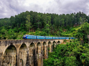 Туристам перестали выдавать электронные разрешения на въезд в Шри-Ланку