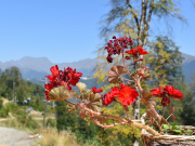 Загрузка Сочи на майские праздники вдвое хуже, чем Анапы