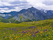 Мир нетронутой природы, который надо увидеть, услышать, прочувствовать