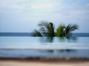 Отели Таиланда готовятся поднимать цены из-за роста спроса