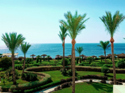 Рейсы в Египет полетят из 12 городов России