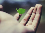 Российской туротрасли предложили масштабные меры поддержки