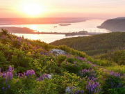 Что посмотреть, чем заняться и где отдохнуть в Самарской области