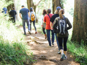 Правительство просят отложить аттестацию инструкторов-проводников на год