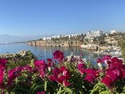 Ряд турецких отелей начинает снижать цены