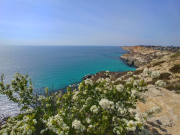 Отелям Крыма пришлось снизить цены на 30%, чтобы оживить спрос