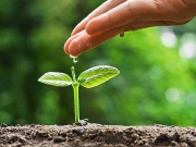 Открыта регистрация на практикум по устойчивому развитию в туризме