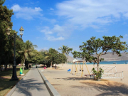 Туры в ОАЭ продаются на 30% лучше из-за обилия перевозки и дорогой Турции