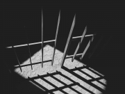 Против руководства «Колибри» возбуждено уголовное дело