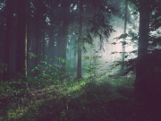 В России вступили в силу новые правила развития туризма на ООПТ