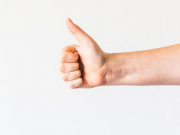 Постановление о переносе «Электронной путевки» опубликуют в течение двух недель