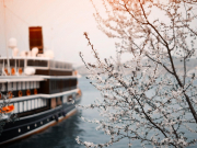 Круизы по России подорожают до 20%