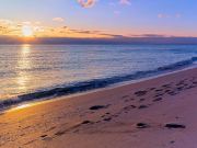 Отдых в Крыму подешевел на 30%