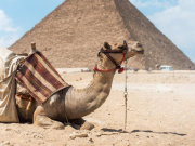 «Библио-Глобус» сообщил о снятии полетной программы в Египет из трех регионов