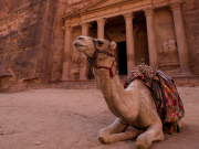 Для возобновления рейсов из Иордании в Россию есть препятствия