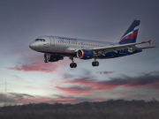 Возбуждено уголовное дело из-за туриста, который впал в кому на борту «Аэрофлота»