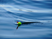 Кто переманивает туристов и как быть агентам: Илья Уманский о трендах внутреннего туризма