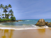 Шри-Ланка снова продлила бесплатные визы для российских туристов