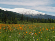 Отдых на Алтае в этом году подорожал на 25%