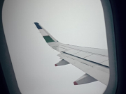 Uzbekistan Airways запускает рейсы Из Алматы в Нукус