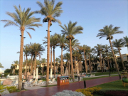 Рейсов в Египет из Москвы и регионов стало больше