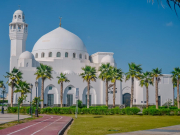 Саудовская Аравия работает над запуском прямых рейсов и отменой виз для россиян